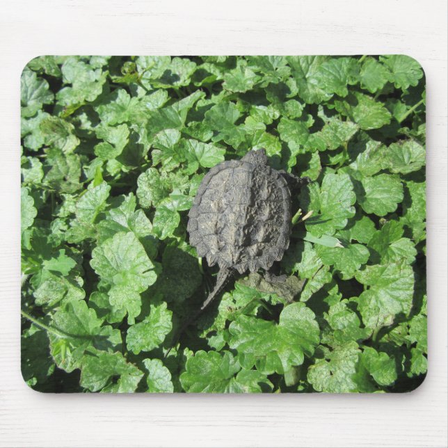 Baby Snapping Turtle Mousepad (Vorne)
