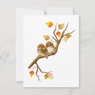 Baby Sparrow Birds Blank Notecards Dankeskarte