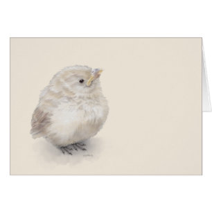 Baby Sparrow Digital Watercolor