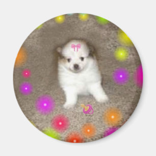 Baby-Spitz-Magnet Magnet