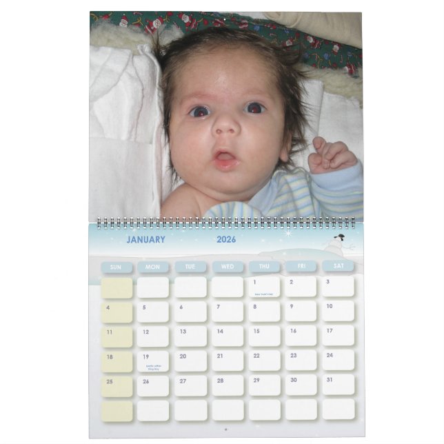 Baby Steve Calendar Kalender (Jan 2026)