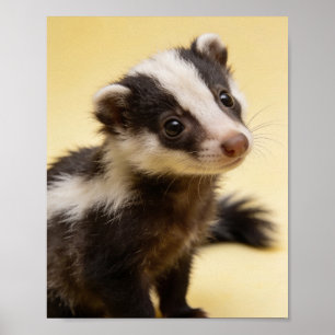 Baby-Stinktier-Porträt-Nursery-Wandkunst Poster