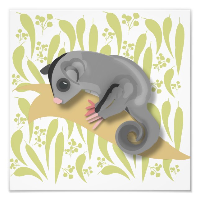 Baby Sugar Glider Fotodruck (Vorne)