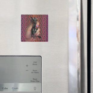 Baby Sugar Glider Magnet