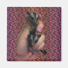 Baby Sugar Glider Magnet