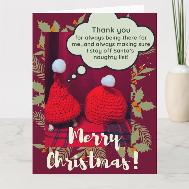 Baby Sulcata Tortoise Best Friends Weihnachten Karte (Vorderseite)