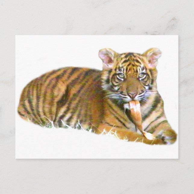 Baby Sumatran Cub_ Postkarte (Vorderseite)