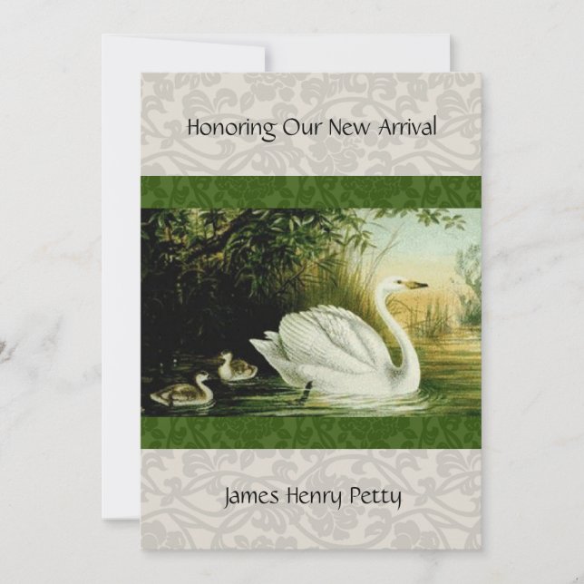 Baby Swans Baby Dusche Einladung (Vorderseite)