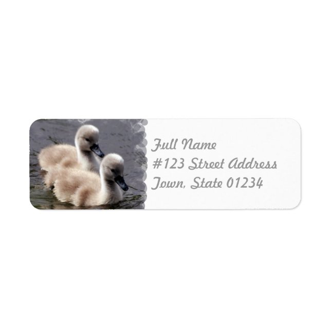 Baby Swans Mailing Label (Vorne)