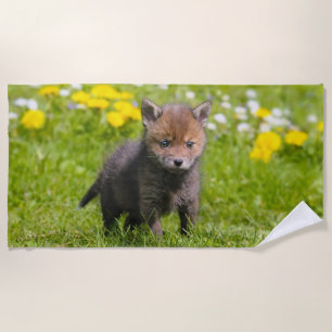 Baby-Tier-Foto niedliche flaumige roter Strandtuch