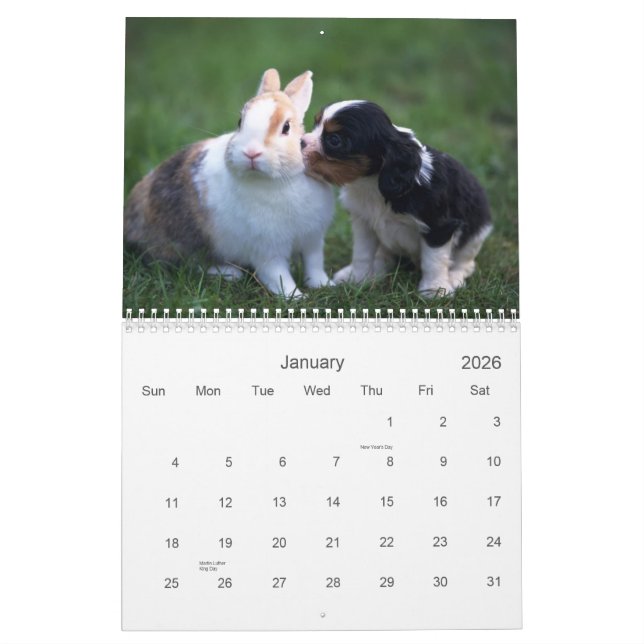Baby-Tier-Kalender Kalender (Jan 2026)