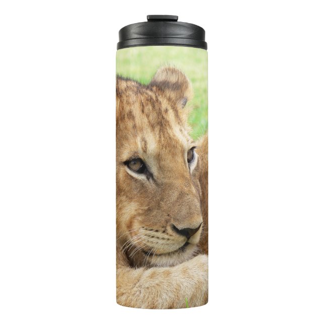 Baby Tiger Custom Monogram Tumbler Thermosbecher (Vorderseite)