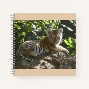 Baby Tiger im Sun Notebook Notizbuch