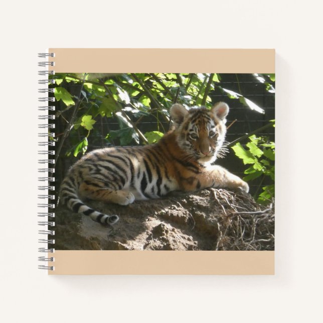 Baby Tiger im Sun Notebook Notizbuch (Vorderseite)