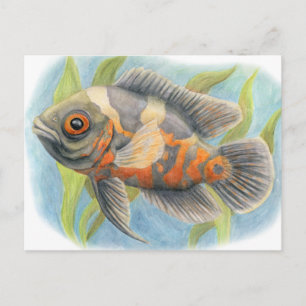 Baby Tiger Oscar Postkarte