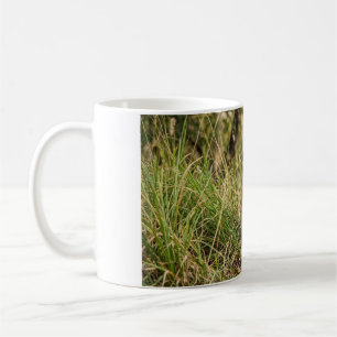 Baby-Tiger sitzt in Gras Kaffeetasse