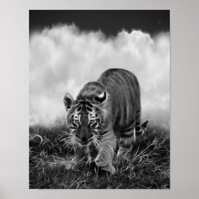 Baby Tiger Stalking in Schwarz-Weiß Poster (Vorne)