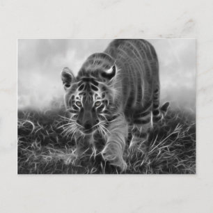 Baby Tiger Stalking in Schwarz-Weiß Postkarte