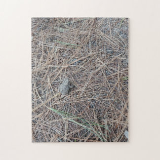 Baby Toad Jigsaw Puzzle