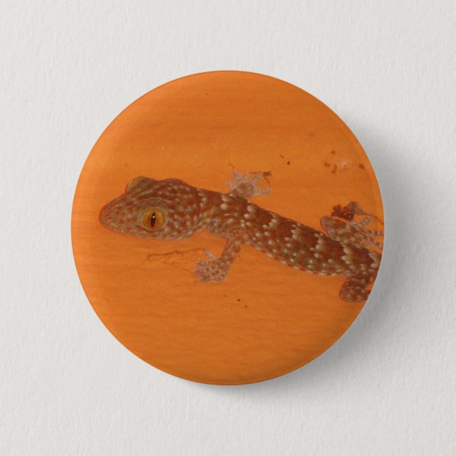 Baby Tokay Gecko Button (Vorderseite)