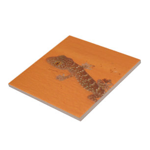 Baby Tokay Gecko Fliese