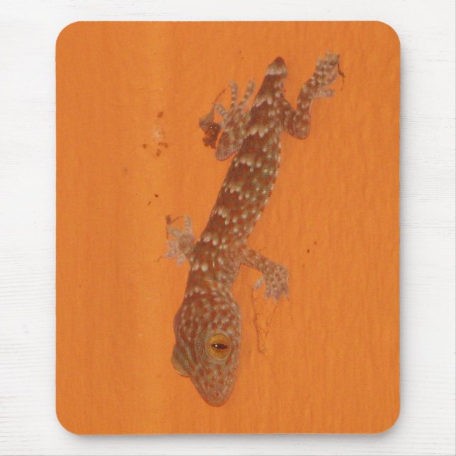 Baby Tokay Gecko Mousepad (Vorne)