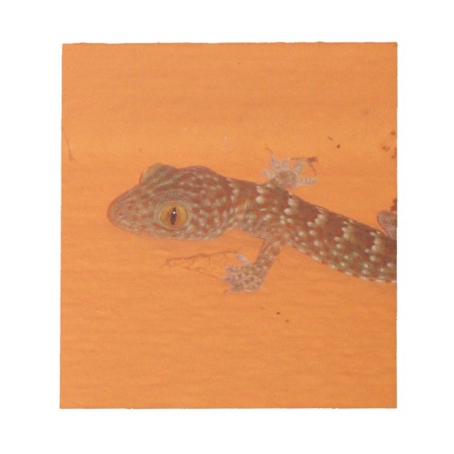 Baby Tokay Gecko Notizblock (Vorderseite)