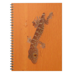 Baby Tokay Gecko Notizblock