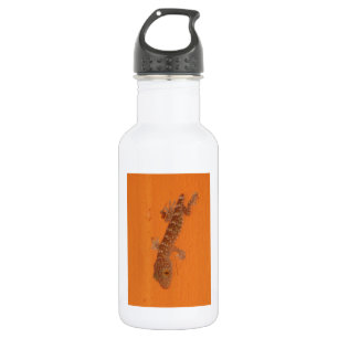 Baby Tokay Gecko Trinkflasche
