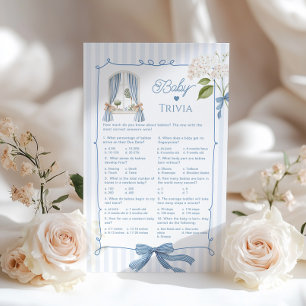 Baby Trivia Französische Kinderzimmer Blaue Kokett
