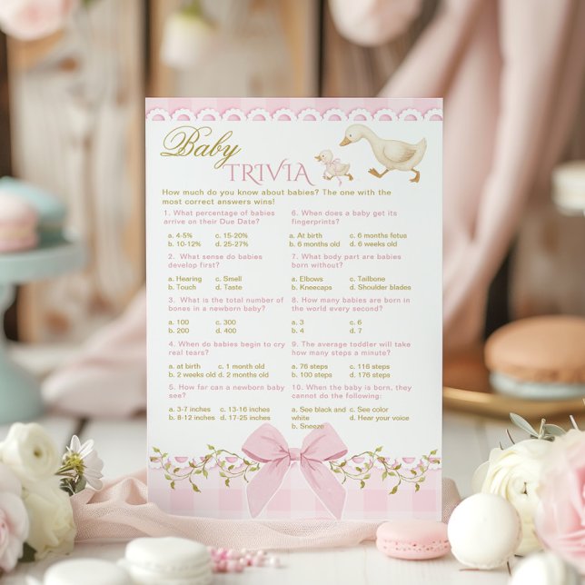 Baby Trivia Silly Goose Pink Gingham Baby Shower (Von Creator hochgeladen)