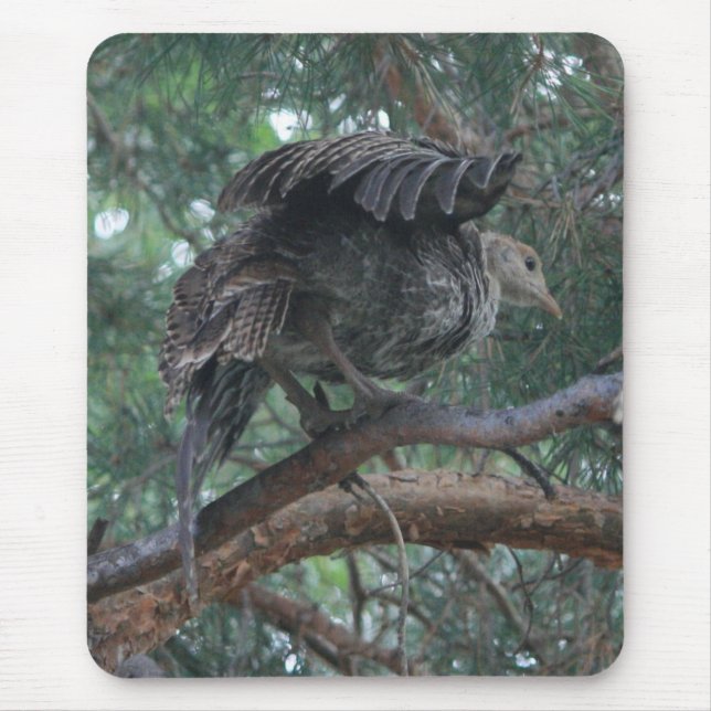 Baby Turkey Mousepad (Vorne)