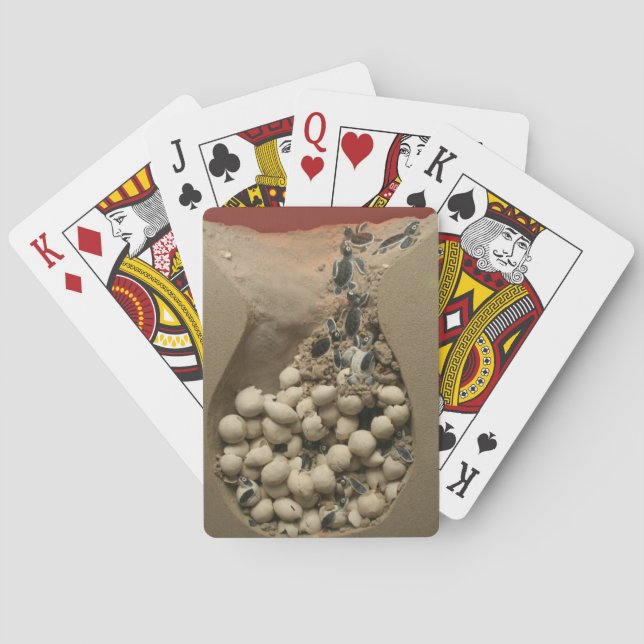 Baby Turtle Eggs Hatching Spielkarten (Rückseite)