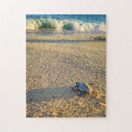Baby Turtle zu Fuß zum Ozean in Los Cabos Puzzle