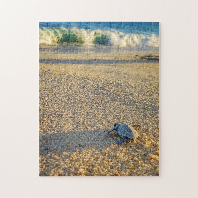 Baby Turtle zu Fuß zum Ozean in Los Cabos Puzzle (Vertikal)
