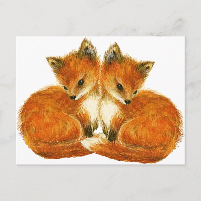 Baby Twin Foxes Postkarte (Vorderseite)
