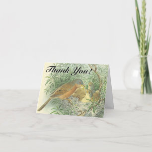 Baby-Vögel in einem Nest "Danke!" Postkarte