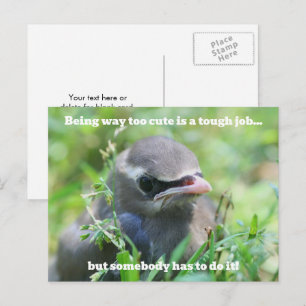 Baby Vogel zu süß Humorvoll Postkarte