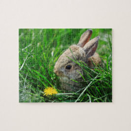 Baby-Waldkaninchen-Kaninchen Puzzle