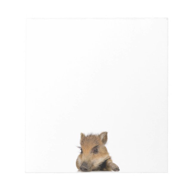 Baby Warthog Notizblock (Vorderseite)
