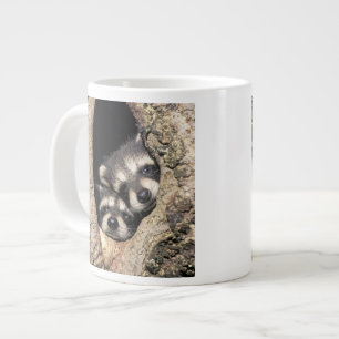 Baby-Waschbären in Baumhöhle Procyon Jumbo-Tasse