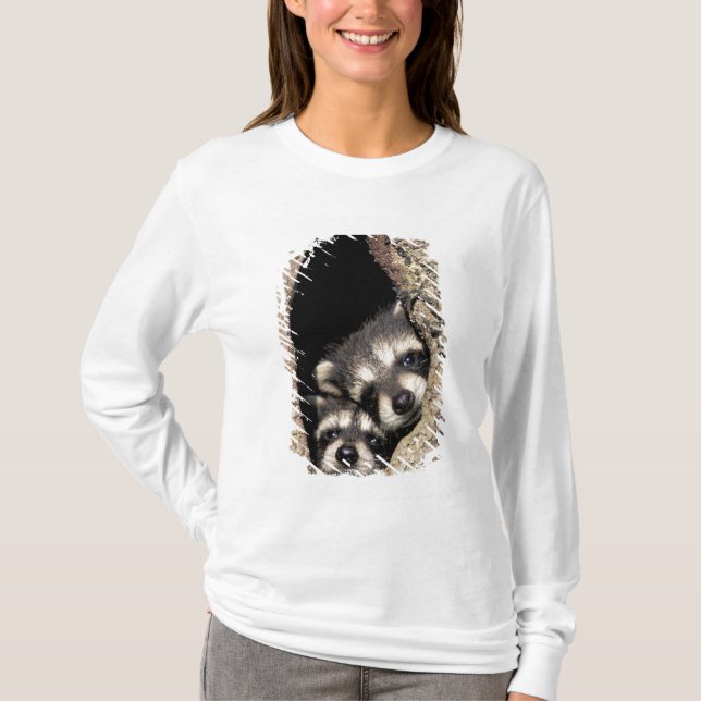 Baby-Waschbären in Baumhöhle Procyon T-Shirt (Vorderseite)