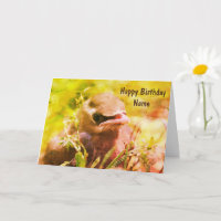Baby Waxwing Bird Art Personalisiert Geburtstag
