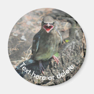 Baby Waxwing Bird Nature Personalisiert Magnet
