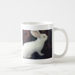 Baby-weißer flämischer Riese Tasse