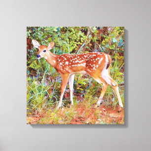 Baby Wild Deer Fawn Leinwand Printmedien