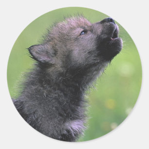 Baby Wolf Howls Runder Aufkleber