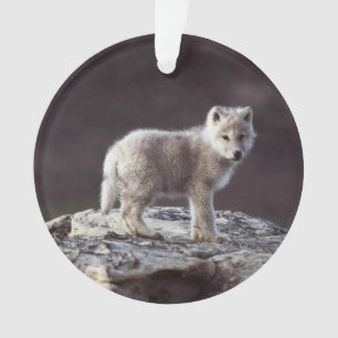 Baby-Wolf-Verzierung Ornament