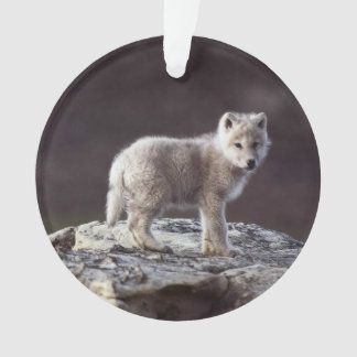 Baby-Wolf-Verzierung Ornament