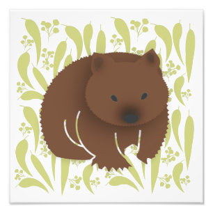 Baby Wombat on Olive Fotodruck